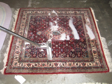 Rug-Cleaning-extraciton-003